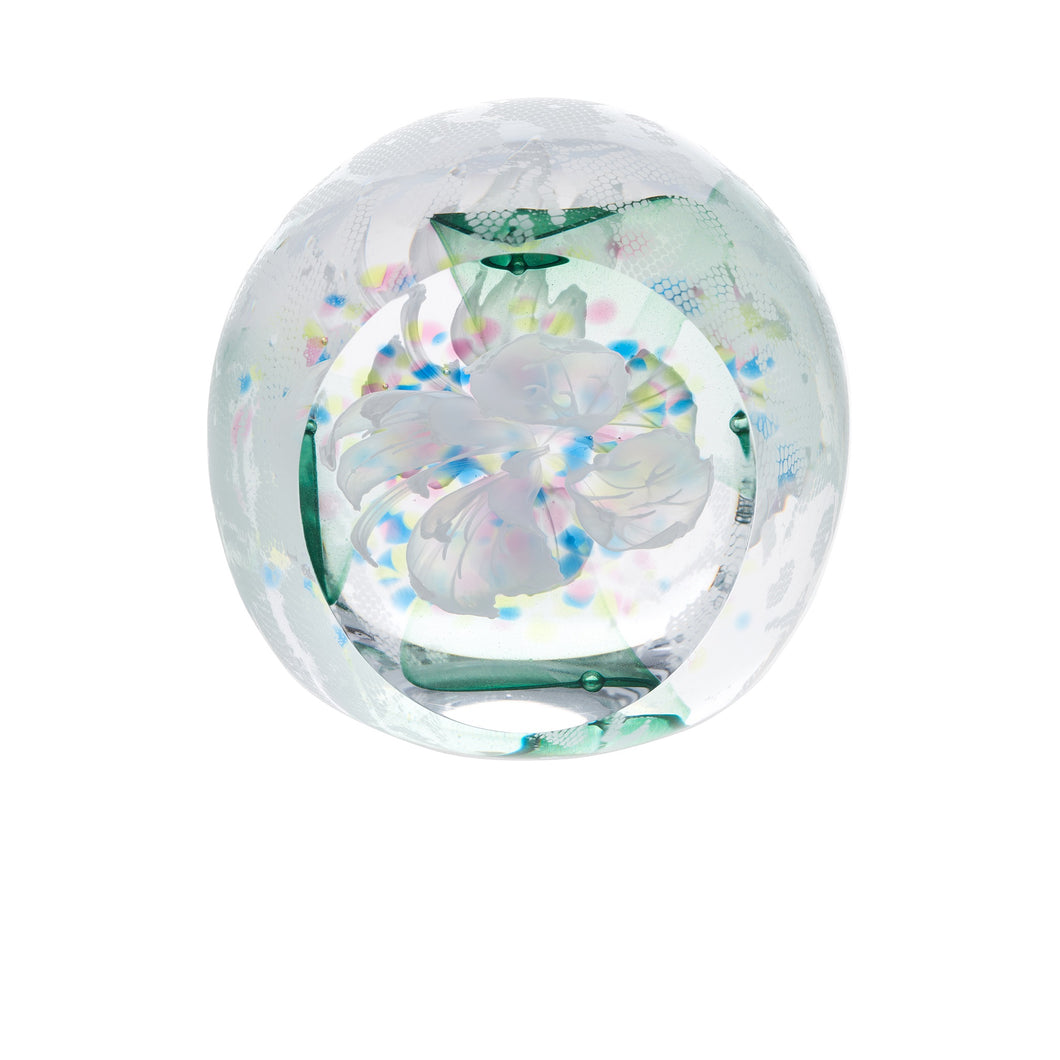 Caithness Glass Floral Diamond White Ltd Edn 75