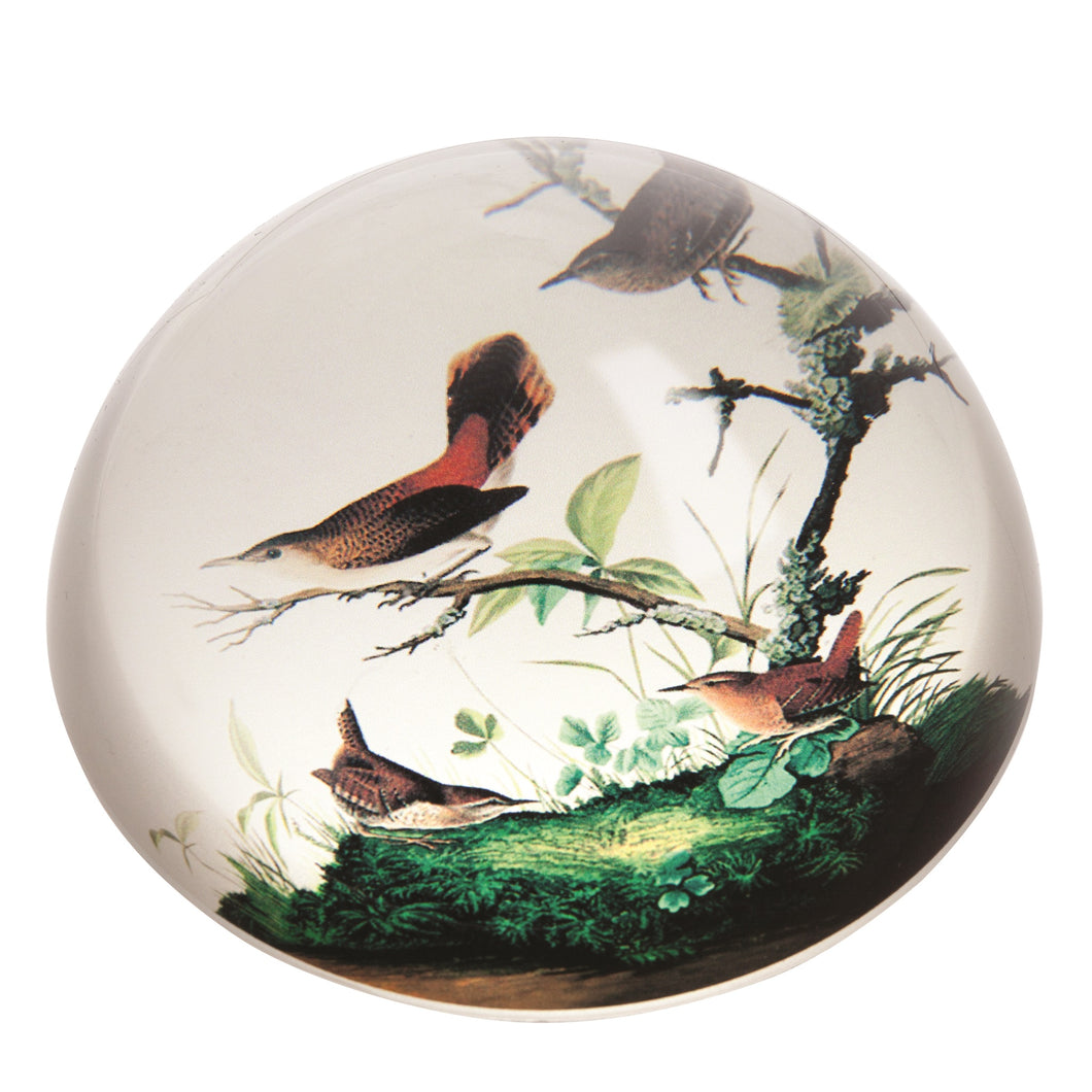 John Beswick Audubon - Winter Wrens Paperweight