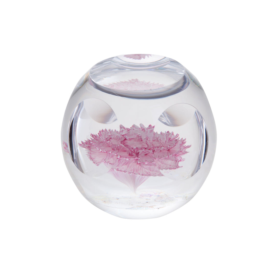 Caithness Glass Floral Bijoux Carnation