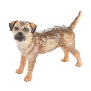 John Beswick Border Terrier