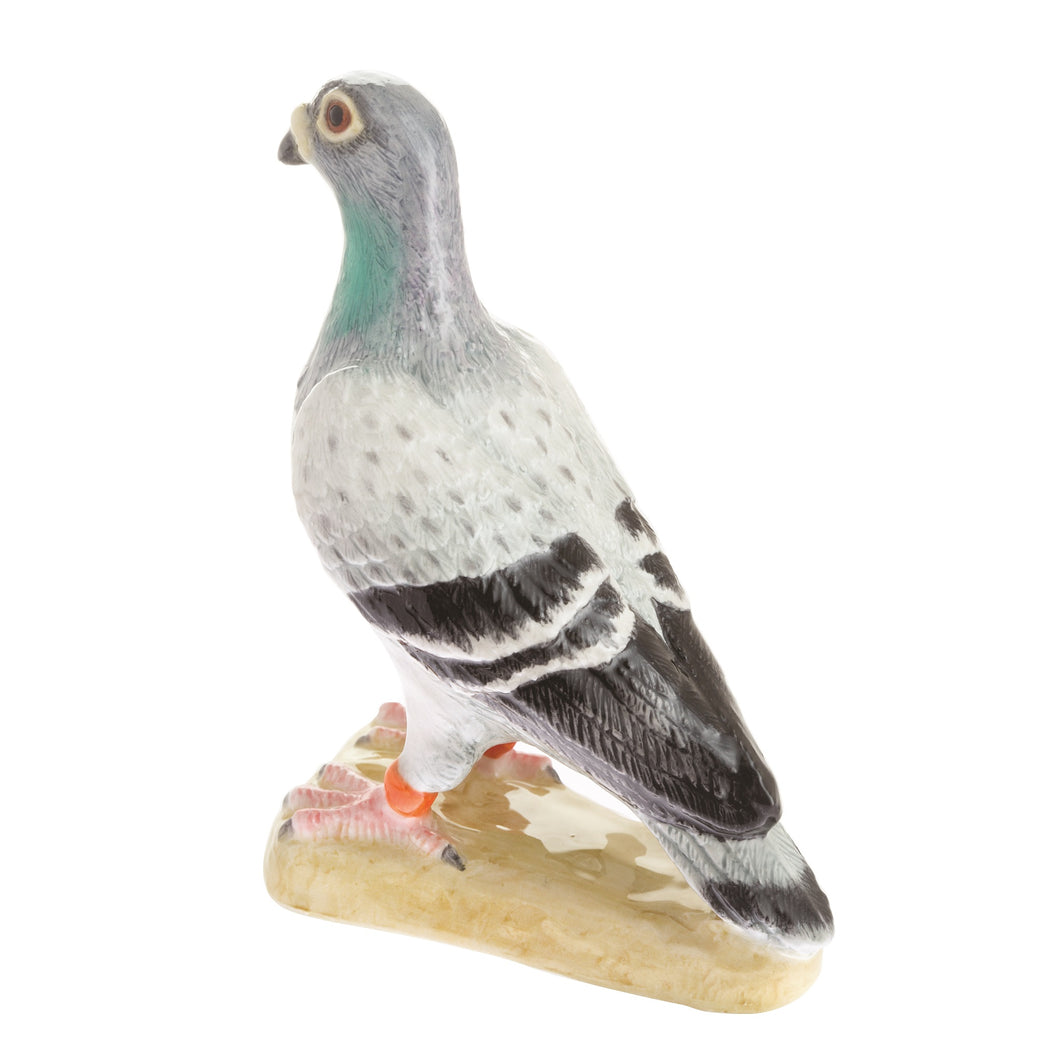 John Beswick Pigeon