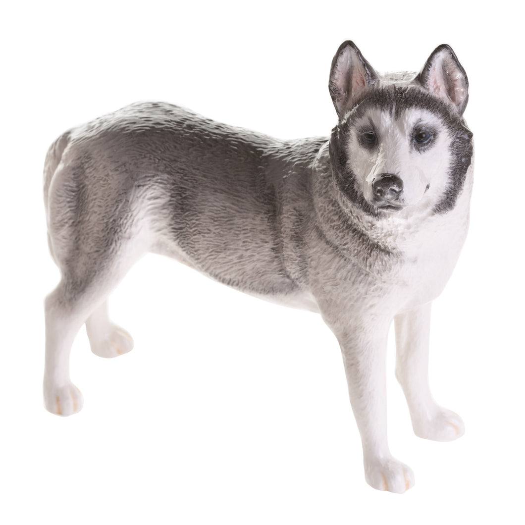 John Beswick Husky
