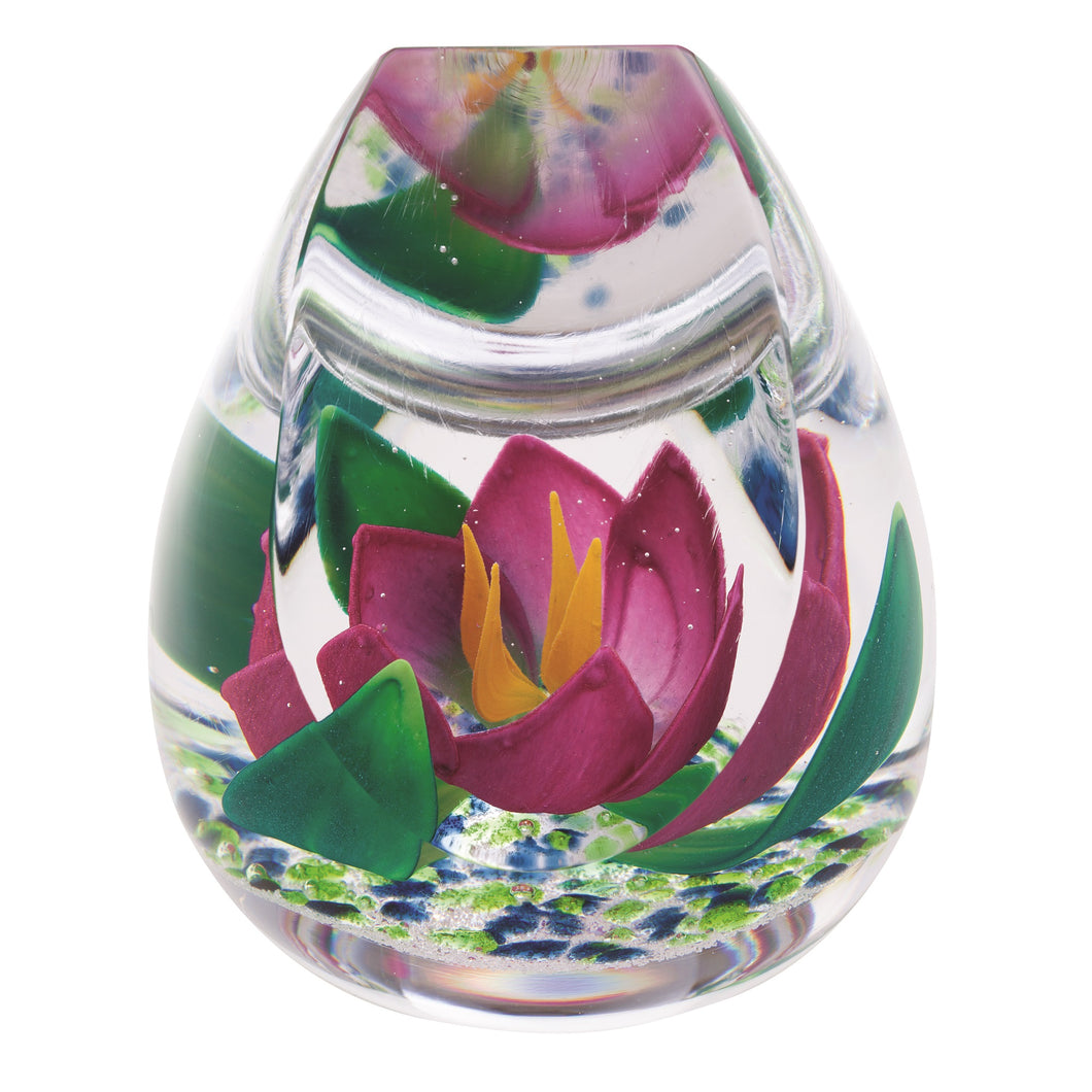Caithness Glass Hot House Mirrored Garden Ltd Edn 150