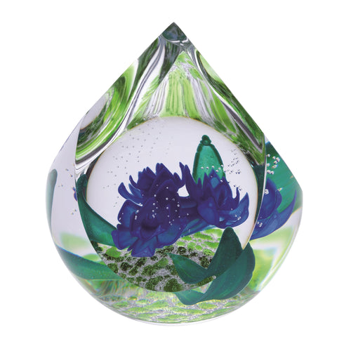 Caithness Glass Hot House Blue Gentian Ltd Edn 100