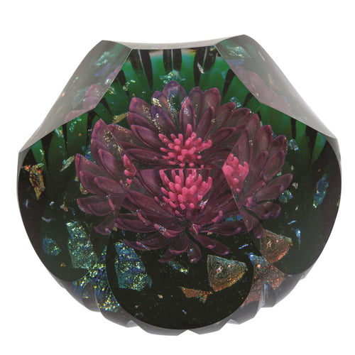 Caithness Glass Hot House Magical Mystery Ltd Edn 100