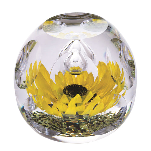 Caithness Glass Hot House Sunshine Ltd Edn 100