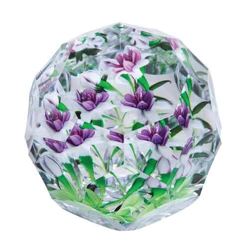 Caithness Glass Lampwork Forever Fuchias Ltd Edn 25