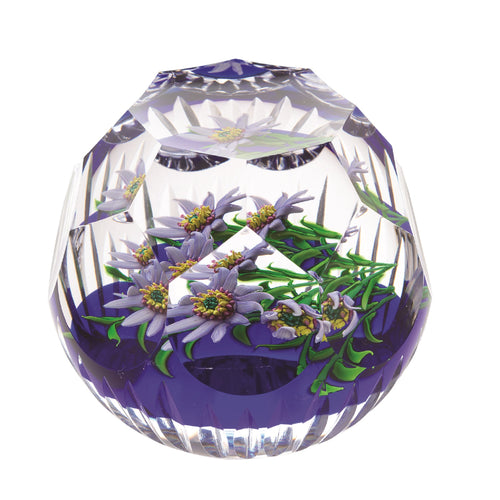 Caithness Glass Lampwork Lilac Aster Ltd Edn 15