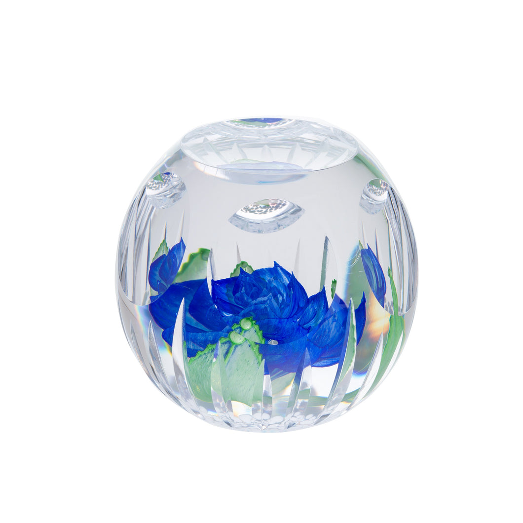 Caithness Glass Hot House Blue Heaven Ltd Edn 100