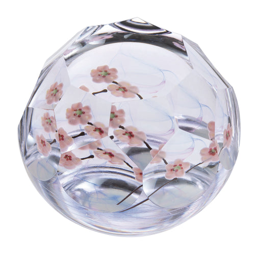 Caithness Glass Lampwork Cherry Blossom Ltd Edn 30
