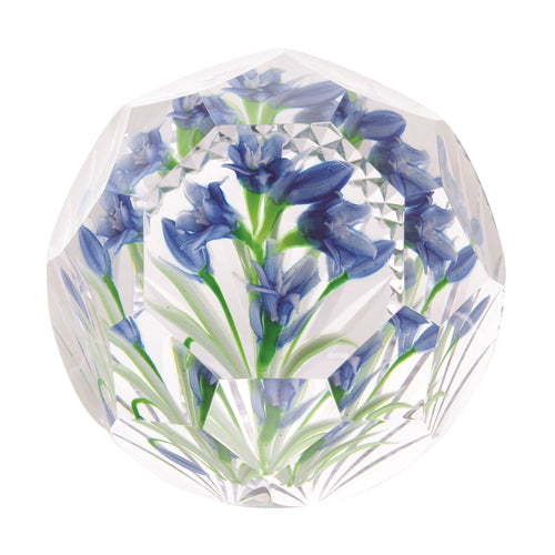Caithness Glass Lampwork Siberian Bluebell Ltd Edn 25