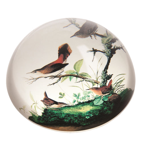John Beswick Audubon - Winter Wrens Paperweight