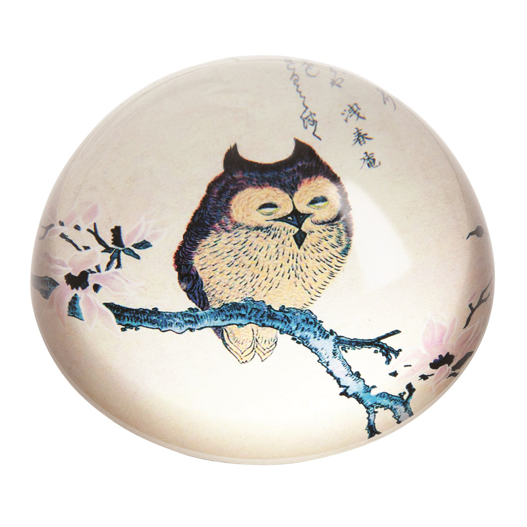 John Beswick Shunman - Owl on a Magnolia Branch Paperweight