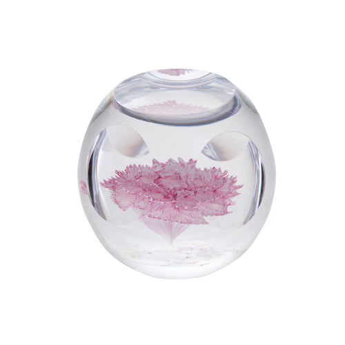 Caithness Glass Floral Bijoux Carnation