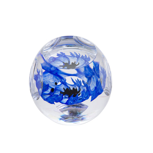 Caithness Glass Floral Bijoux Cornflower