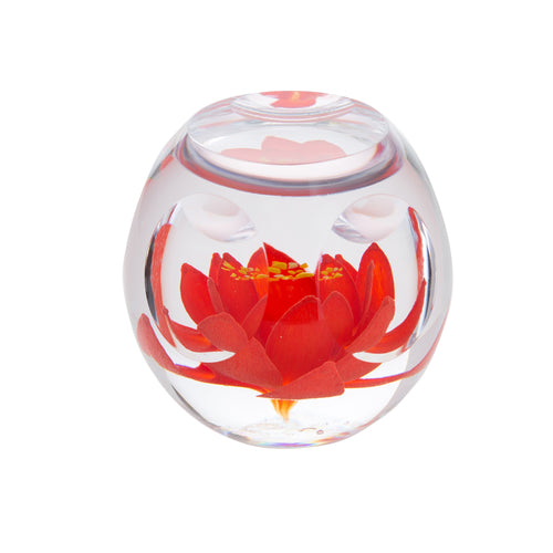Caithness Glass Floral Bijoux Lily