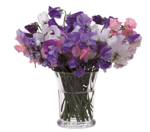 Dartington Florabundance Sweet Pea Vase
