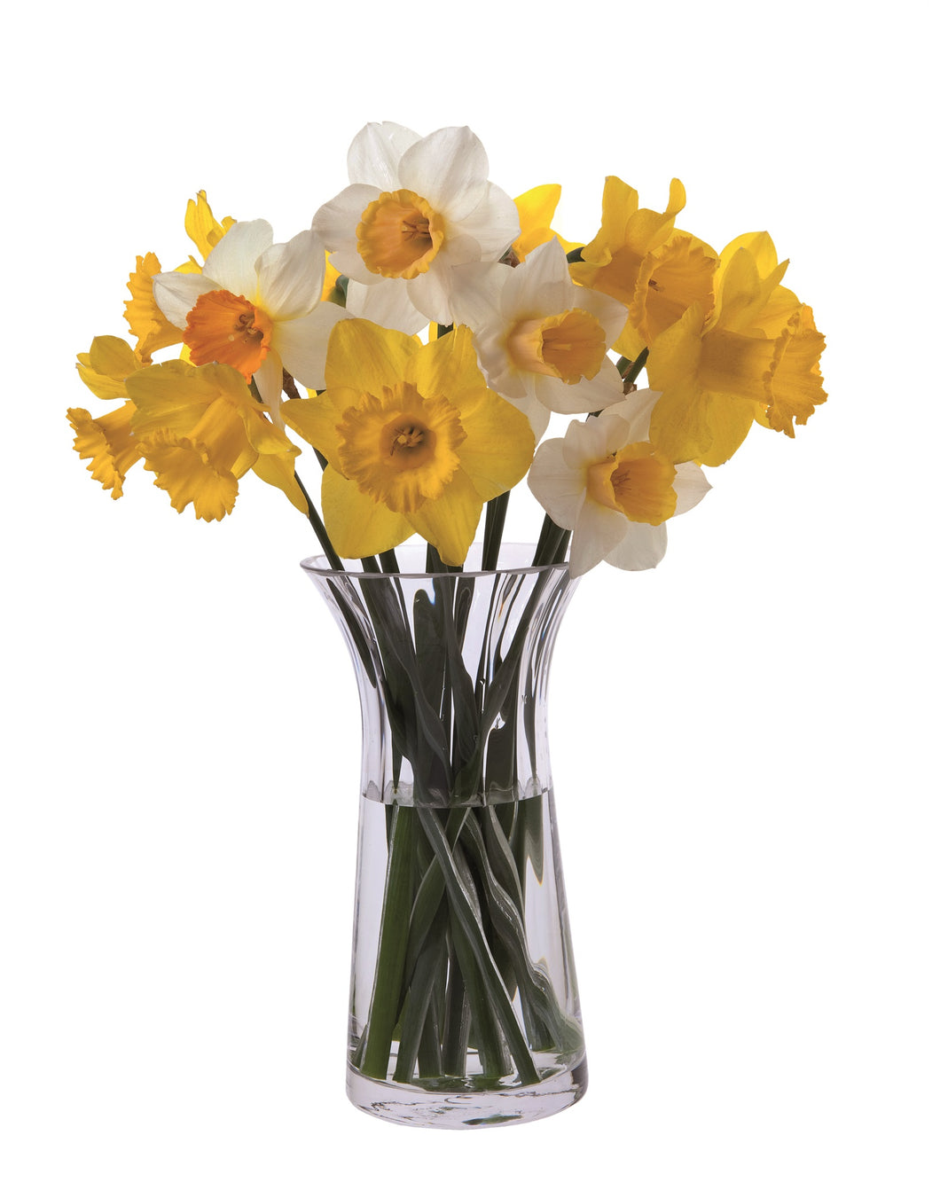 Dartington Florabundance Daffodil Vase
