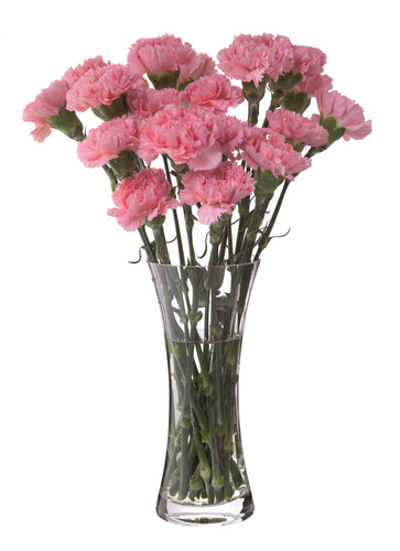 Dartington Florabundance Carnation Vase