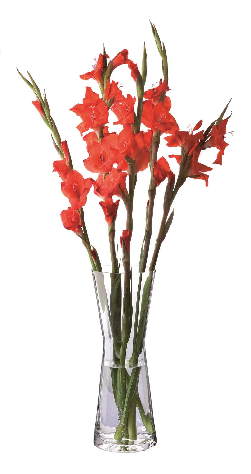 Dartington Florabundance Gladioli Vase