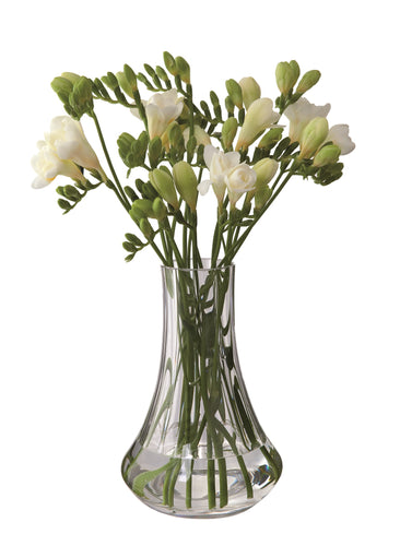 Dartington Florabundance Freesia Vase