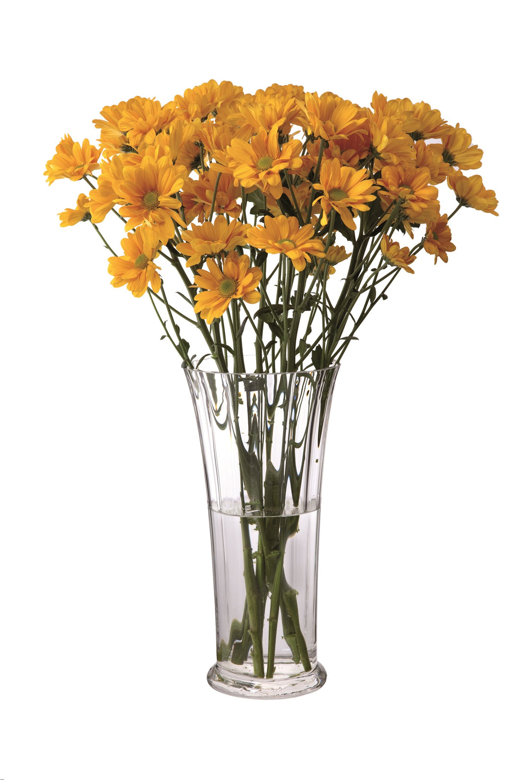 Dartington Florabundance Chrysanthemum Vase