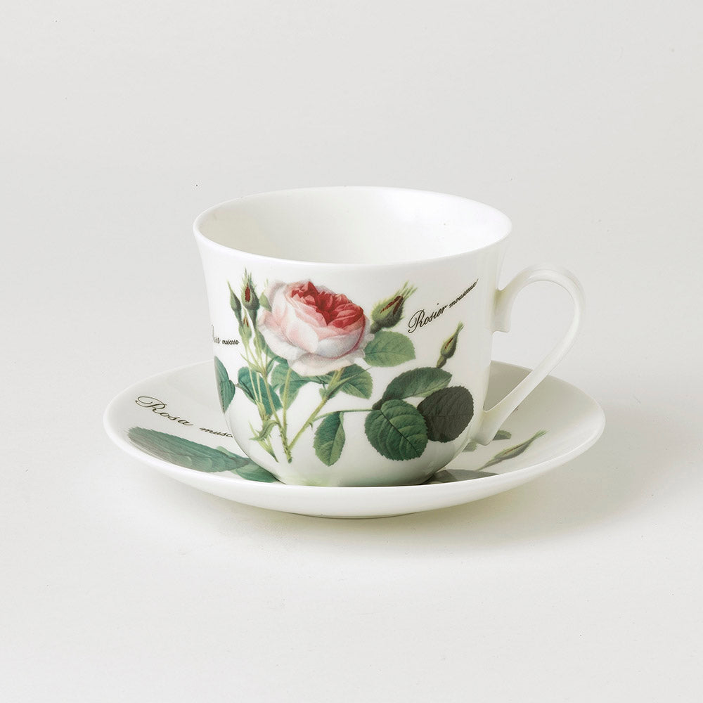 Roy Kirkham Redoute Rose Breakfast Cup & Saucer