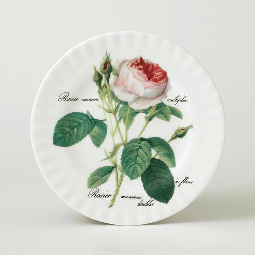 Roy Kirkham Redoute Rose Tea Plate 20cm